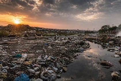 Marcello Jose Abbud Souza